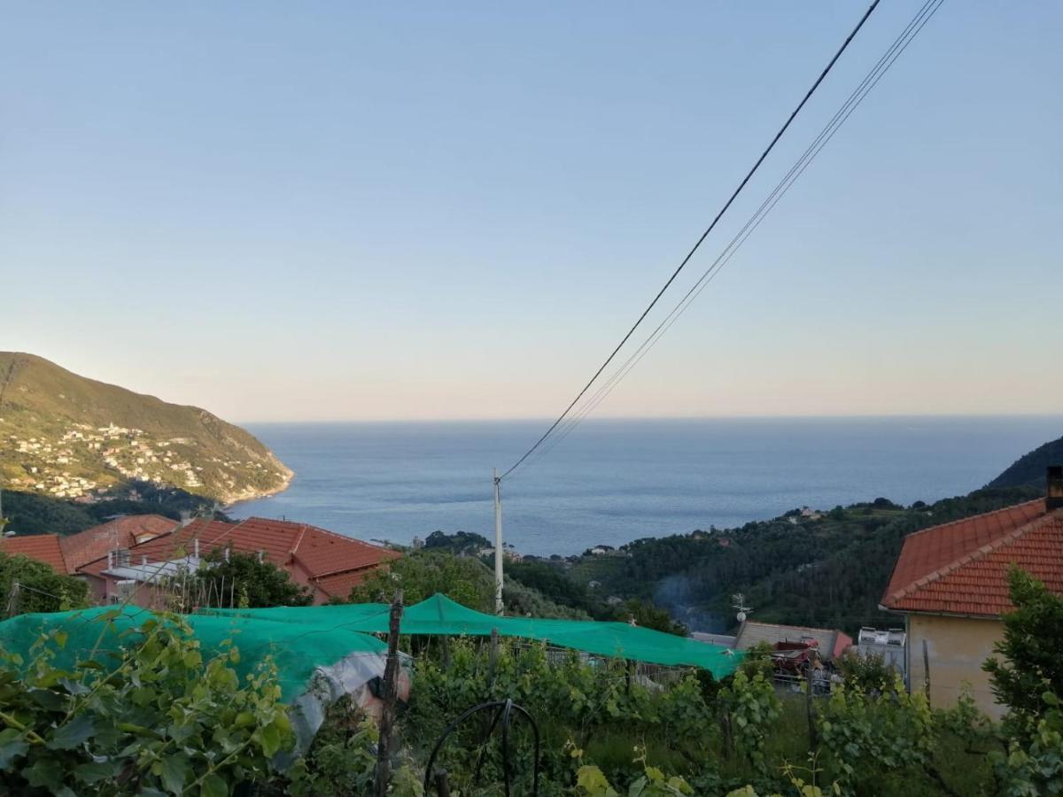 Sentieri Sul Mare Villa Moneglia Exterior photo